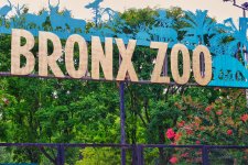 Bronx Zoo Offers Free Admission For Active Duty