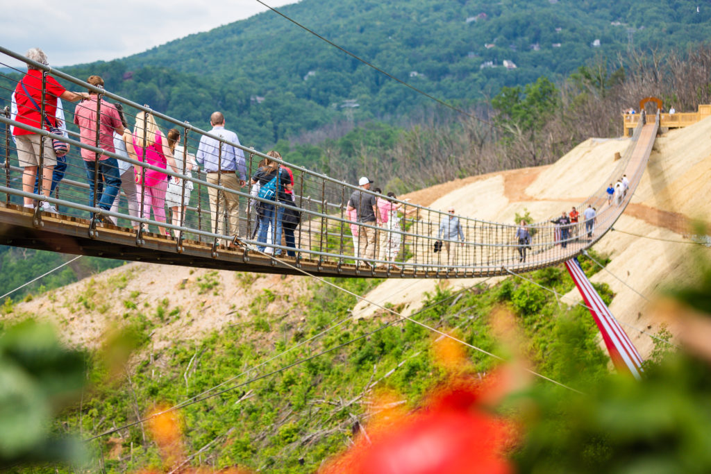 Gatlinburg TN Pedestrian SkyBridge Military Discount RETAIL SALUTE