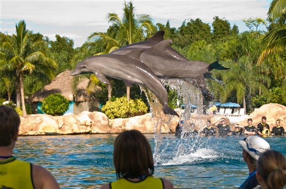 Discovery Cove Military Discount